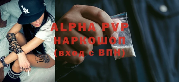 СК Балахна