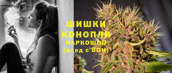 трава Аркадак
