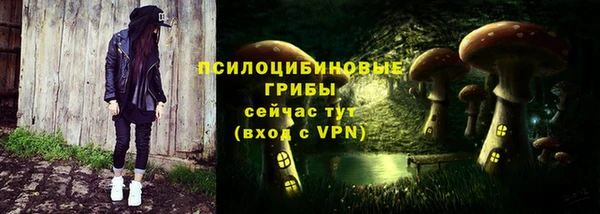бошки Армянск