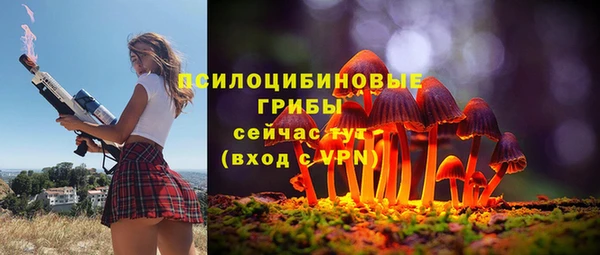 мескалин Арсеньев