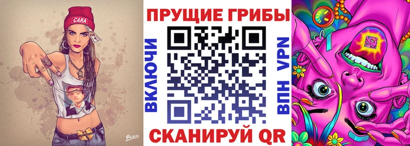 Галлюциногенные грибы Psilocybine cubensis  Барыш 